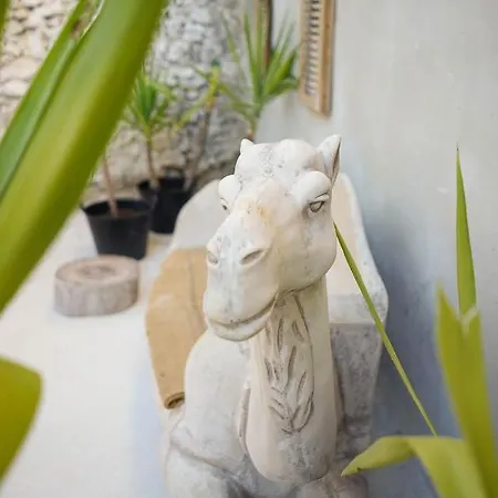 Center With Pool شقة فندقية 4*